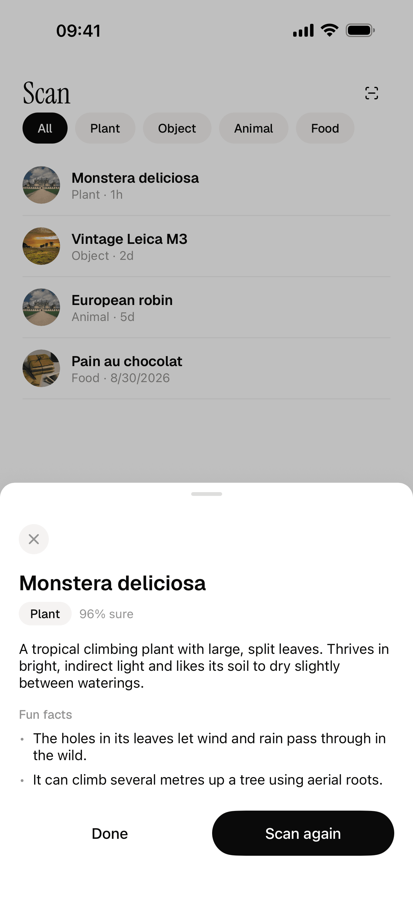 A scan result in the starter app