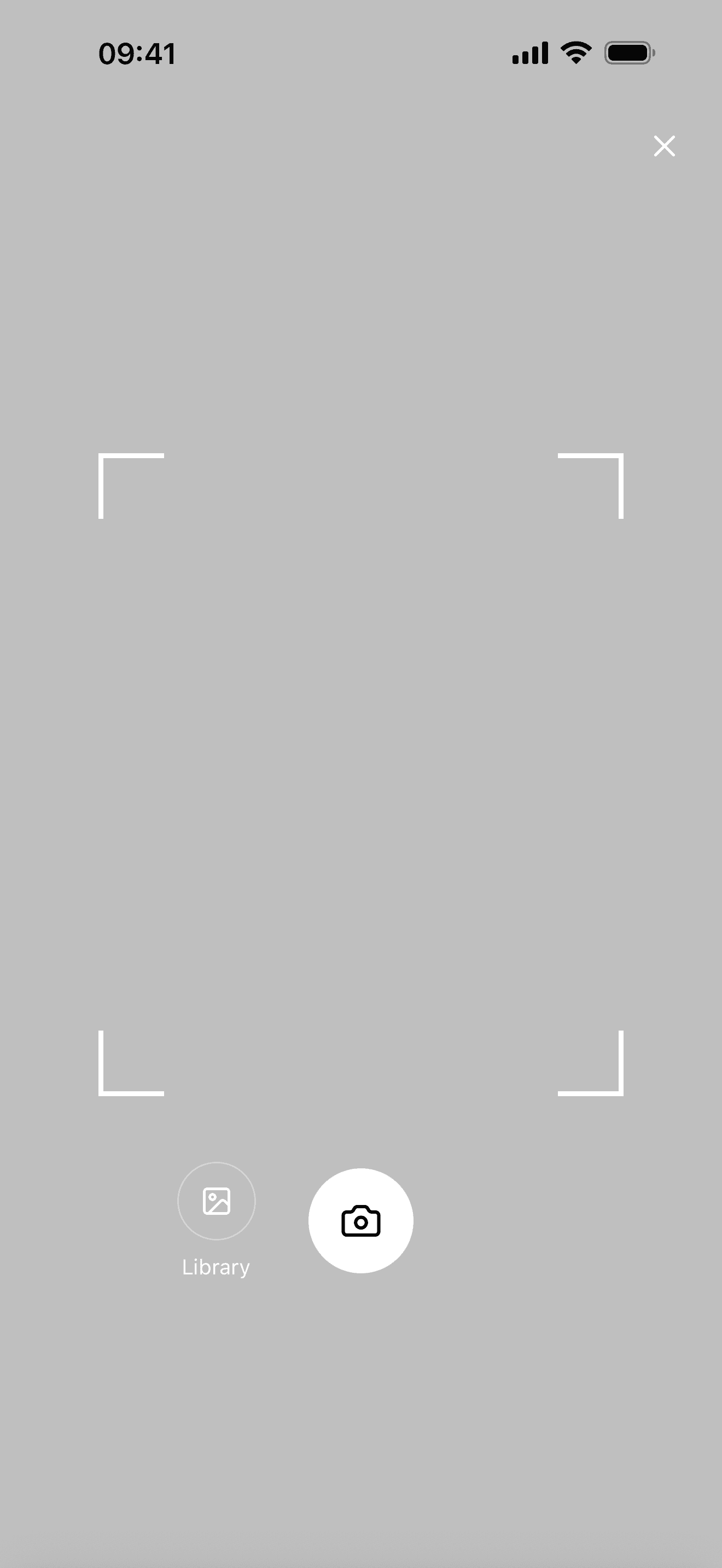 The scan camera with a frame overlay, shutter and library buttons